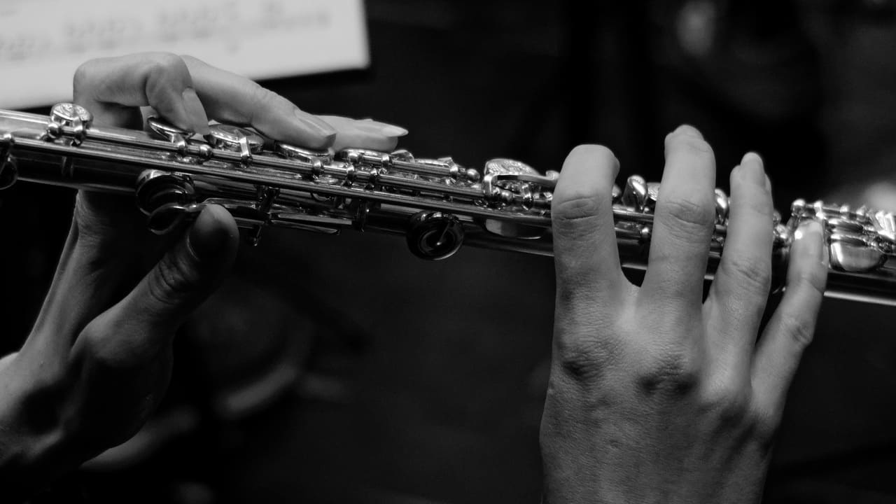 10 نکته طلایی هنگام دست گرفتن فلوت کلیددار